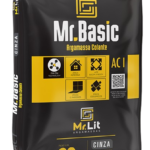 mr-basic-img-removebg-preview
